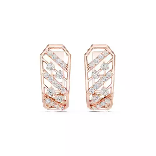 Round Cut Diamond Fancy Earring 3DM STL Video