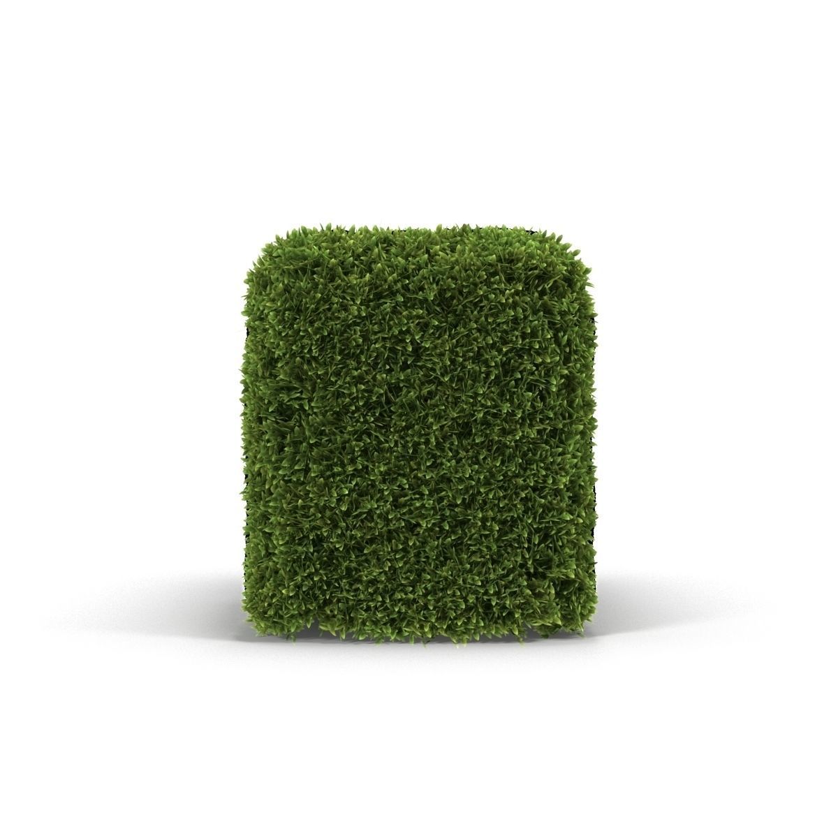 Hedge Box 3D model_2