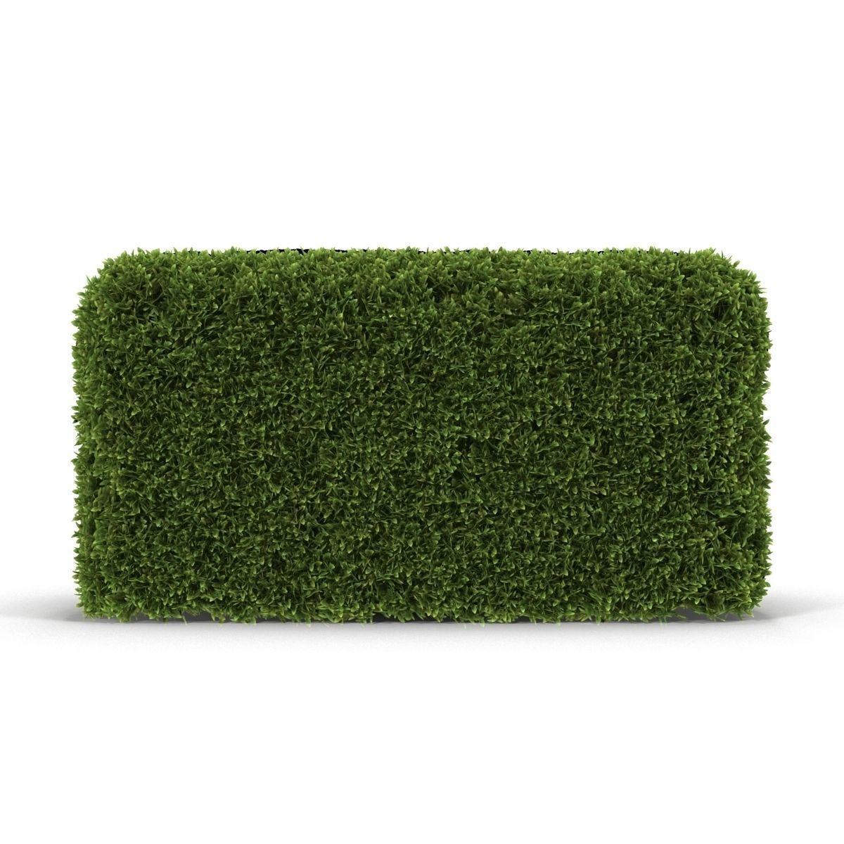 Hedge Box 3D model_8