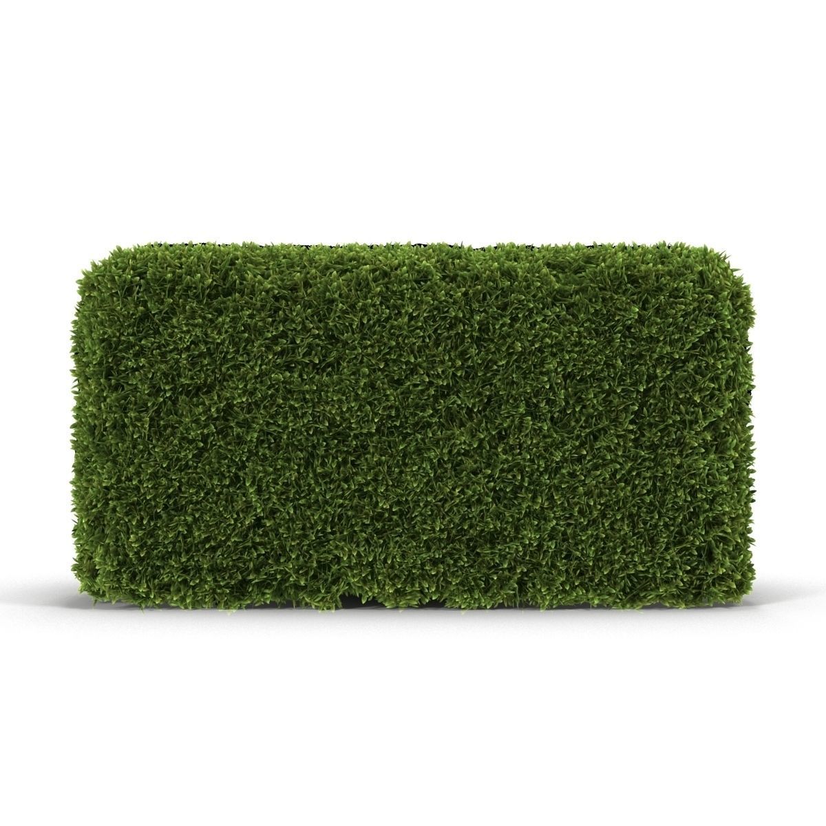 Hedge Box 3D model_6