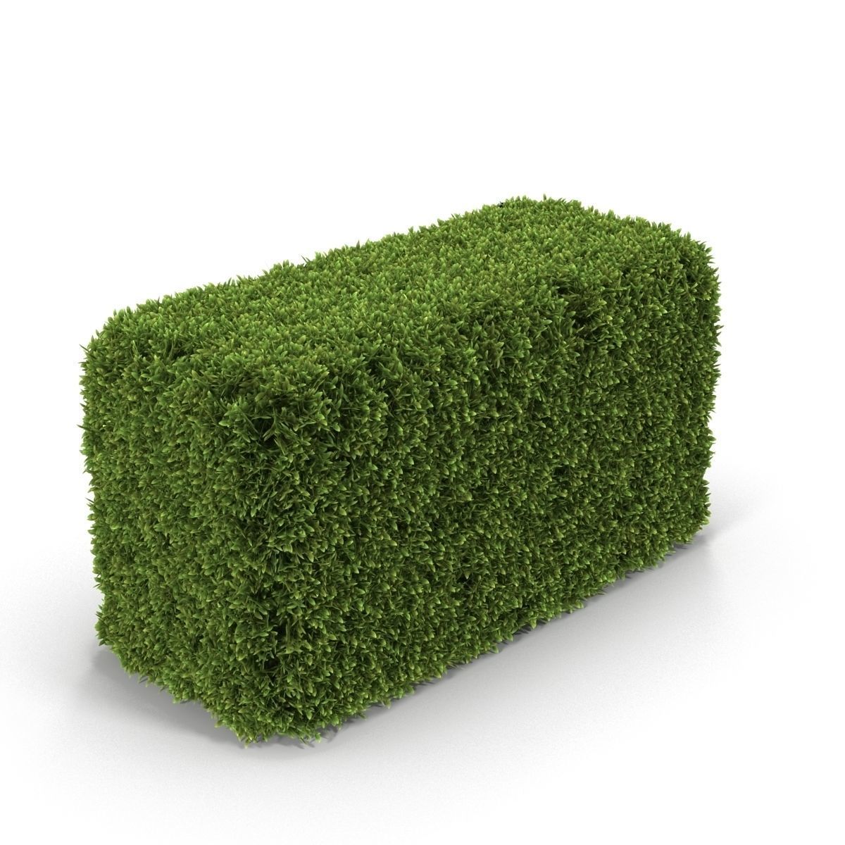 Hedge Box 3D model_4