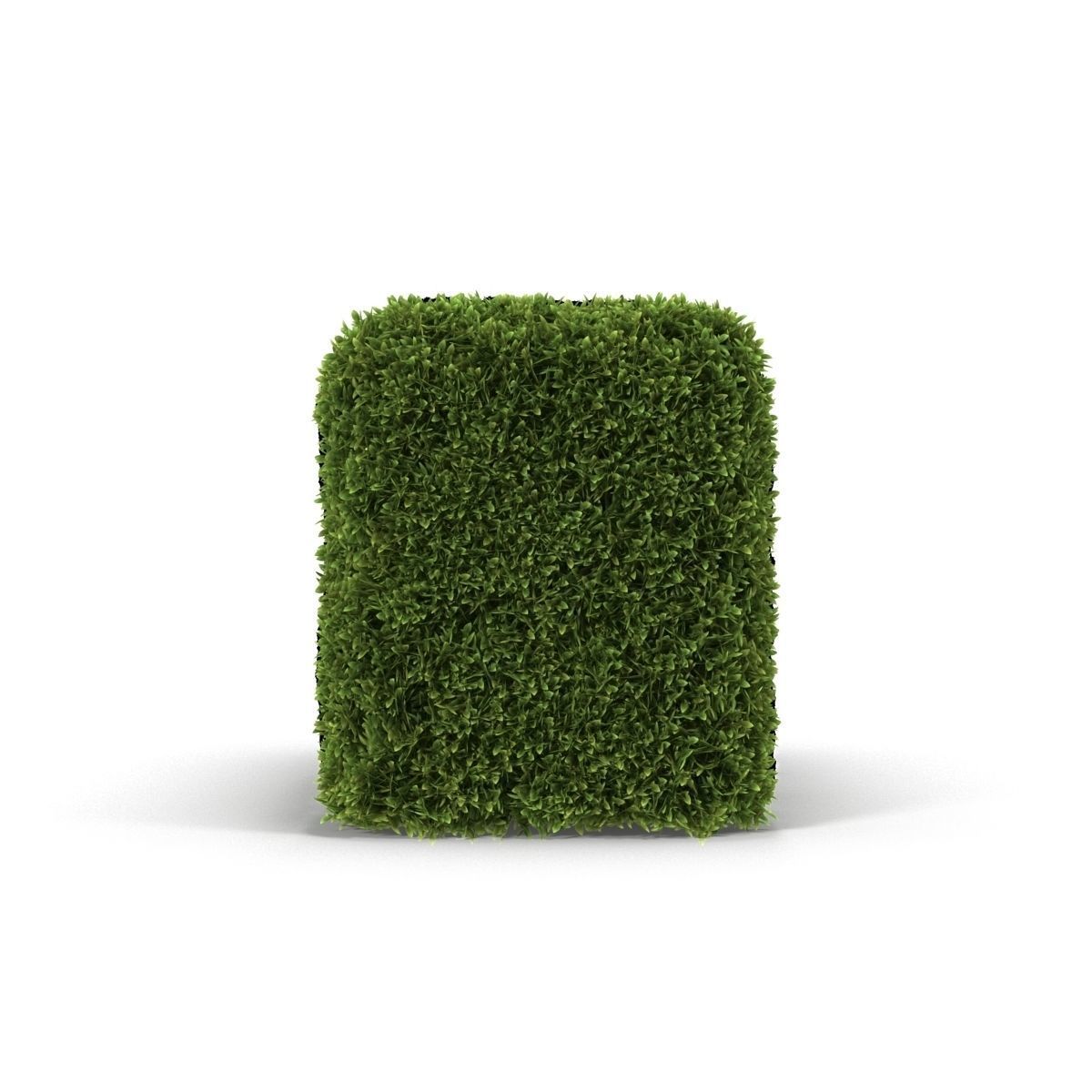 Hedge Box 3D model_7