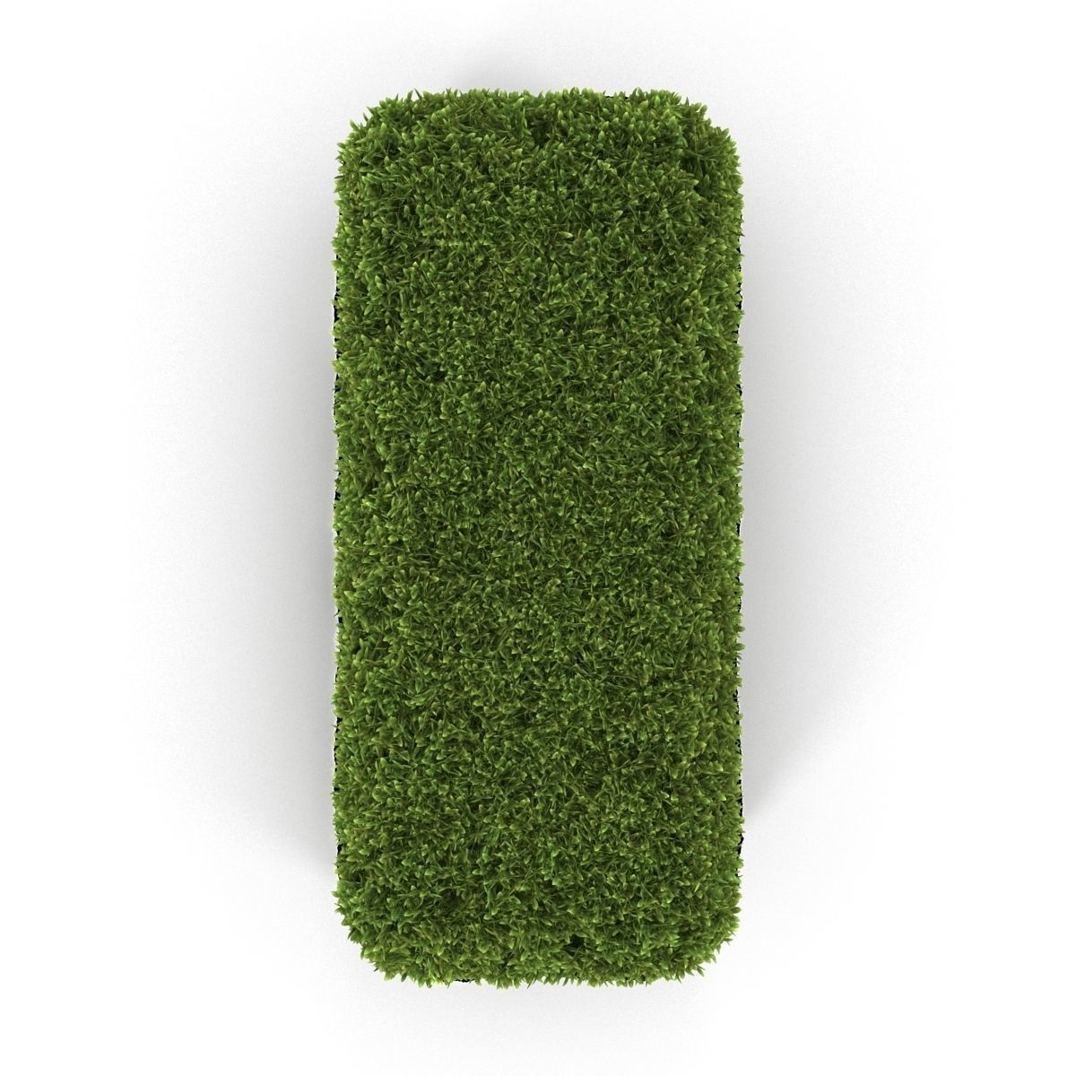 Hedge Box 3D model_5