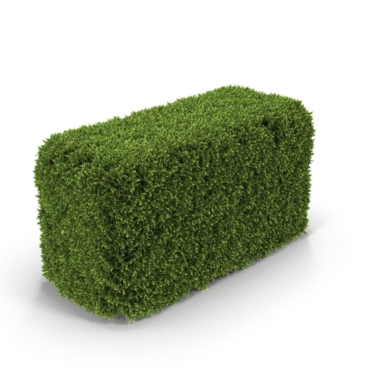 Hedge Box 3D model_1