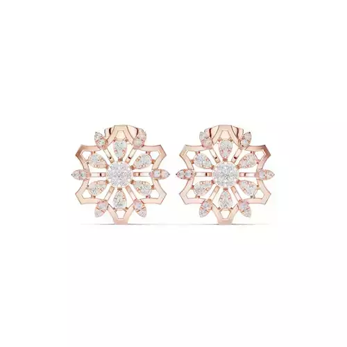 Round Cut Diamond Fancy Stud Earring 3DM STL Video