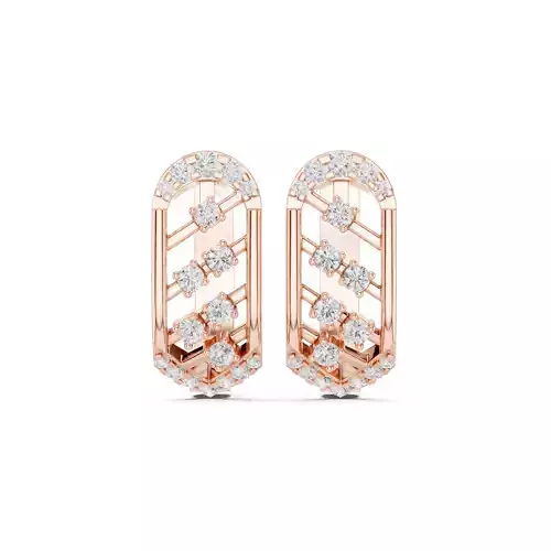 Round Cut Diamond Fancy Earring 3DM STL Video