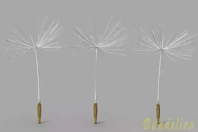 Dandelion