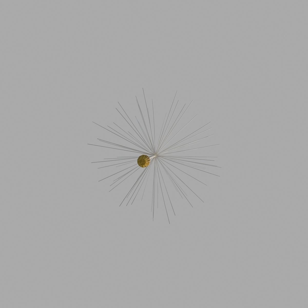 Dandelion 3D model_7