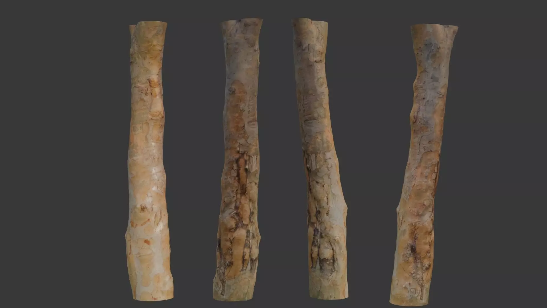 Tall Tree Trunk Scan Low-poly 3D model_0