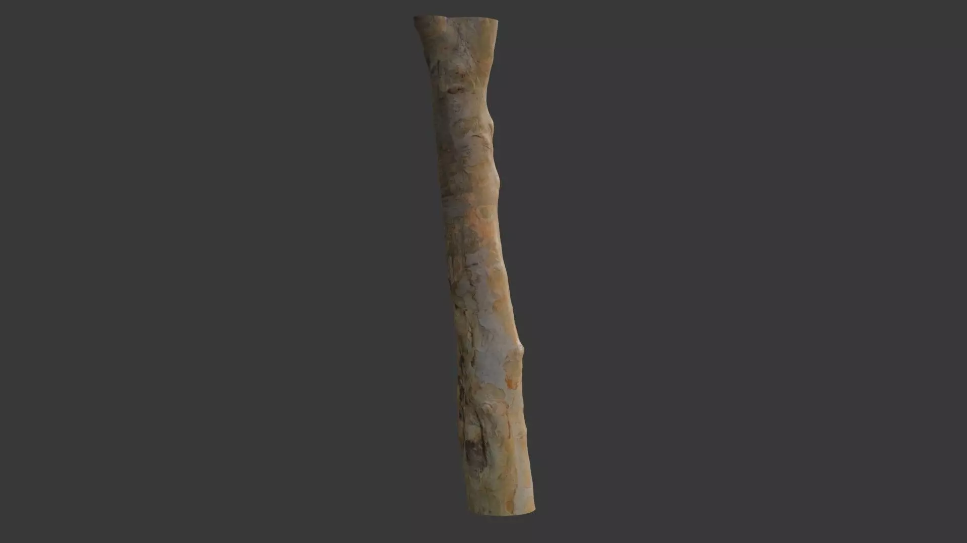 Tall Tree Trunk Scan Low-poly 3D model_3
