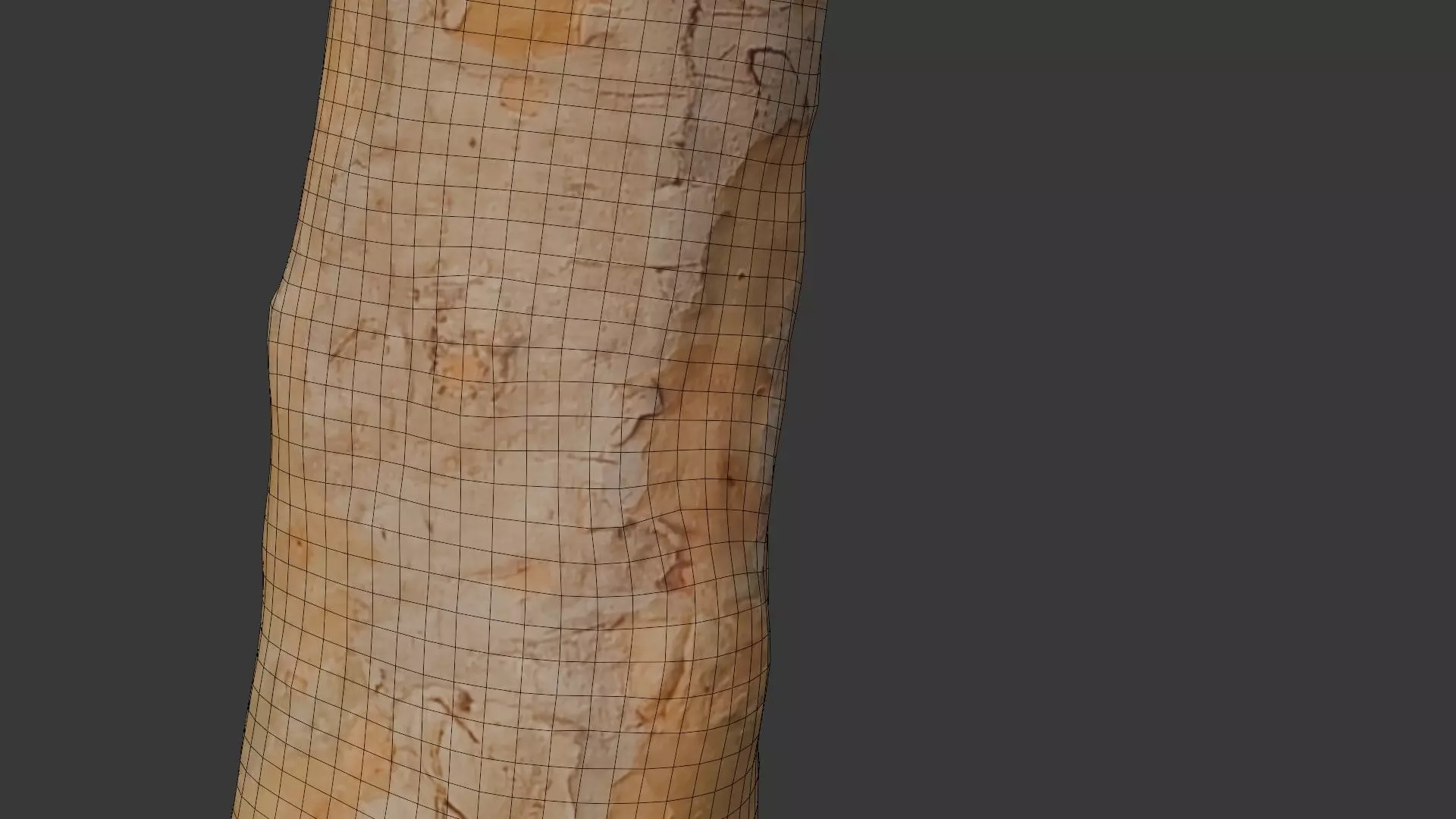 Tall Tree Trunk Scan Low-poly 3D model_6