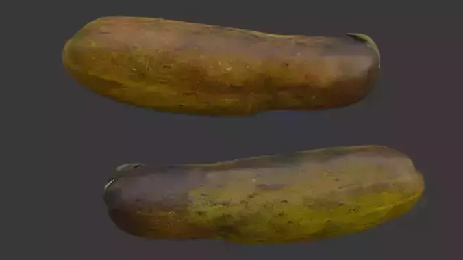  Old Cucumber Scan