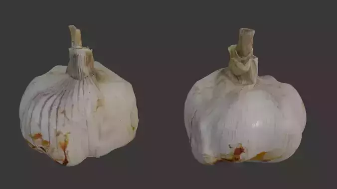  Garlic Bulb Scan
