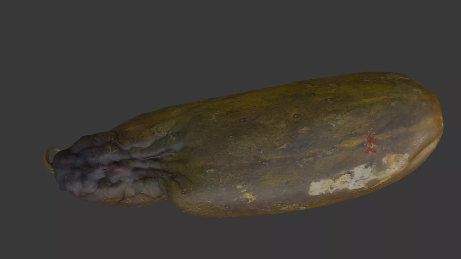 Spoiled Papaya Scan Low-poly 3D model_4