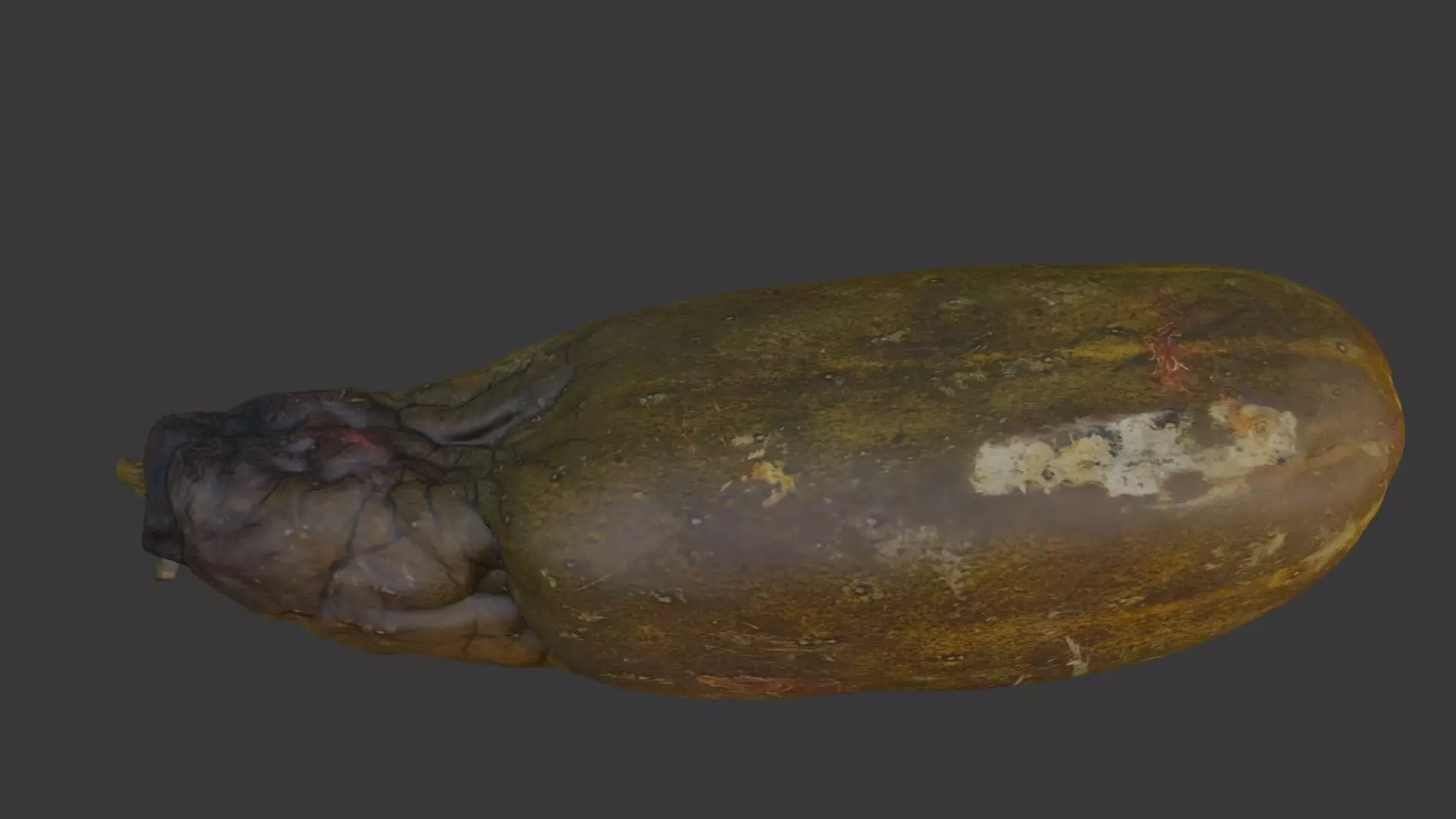 Spoiled Papaya Scan Low-poly 3D model_3