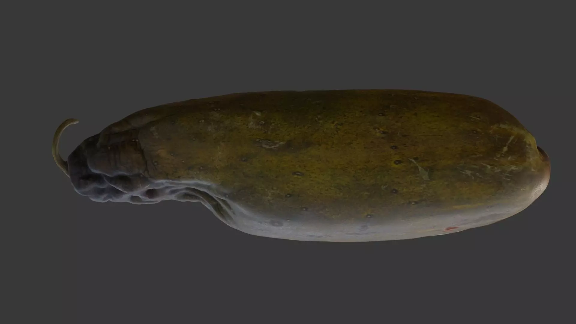 Spoiled Papaya Scan Low-poly 3D model_5