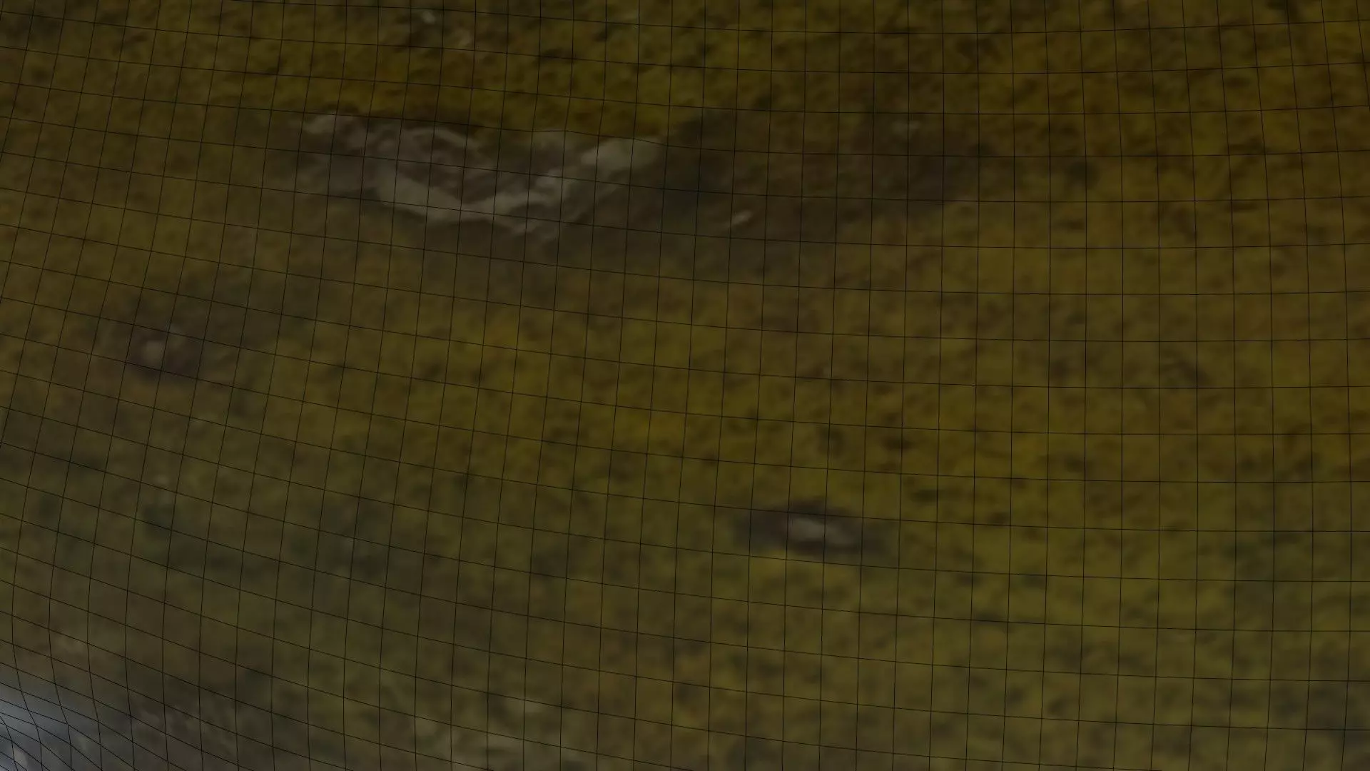 Spoiled Papaya Scan Low-poly 3D model_6