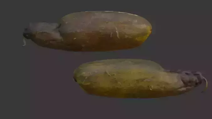  Spoiled Papaya Scan Low-poly 3D model