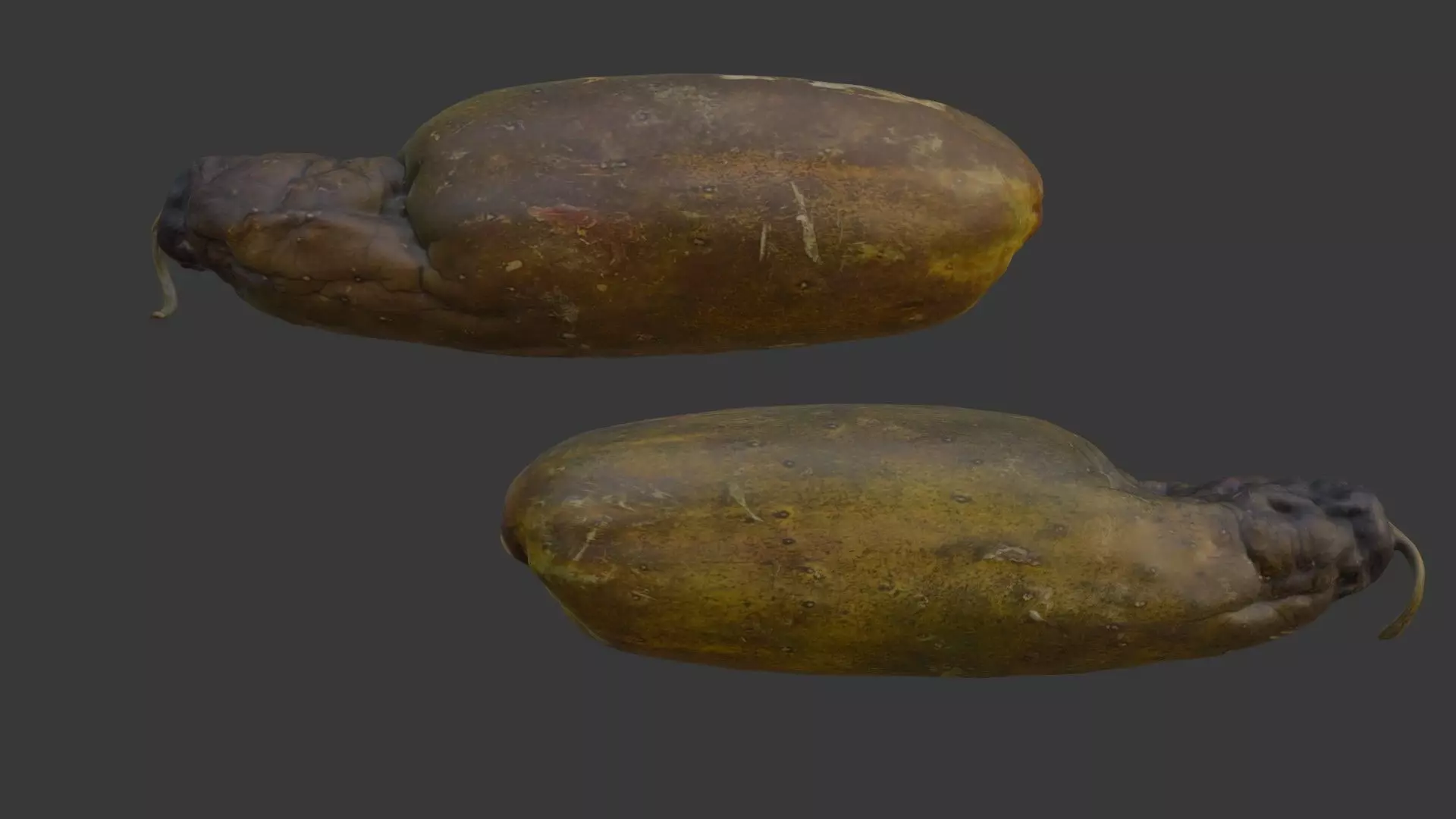 Spoiled Papaya Scan Low-poly 3D model_0