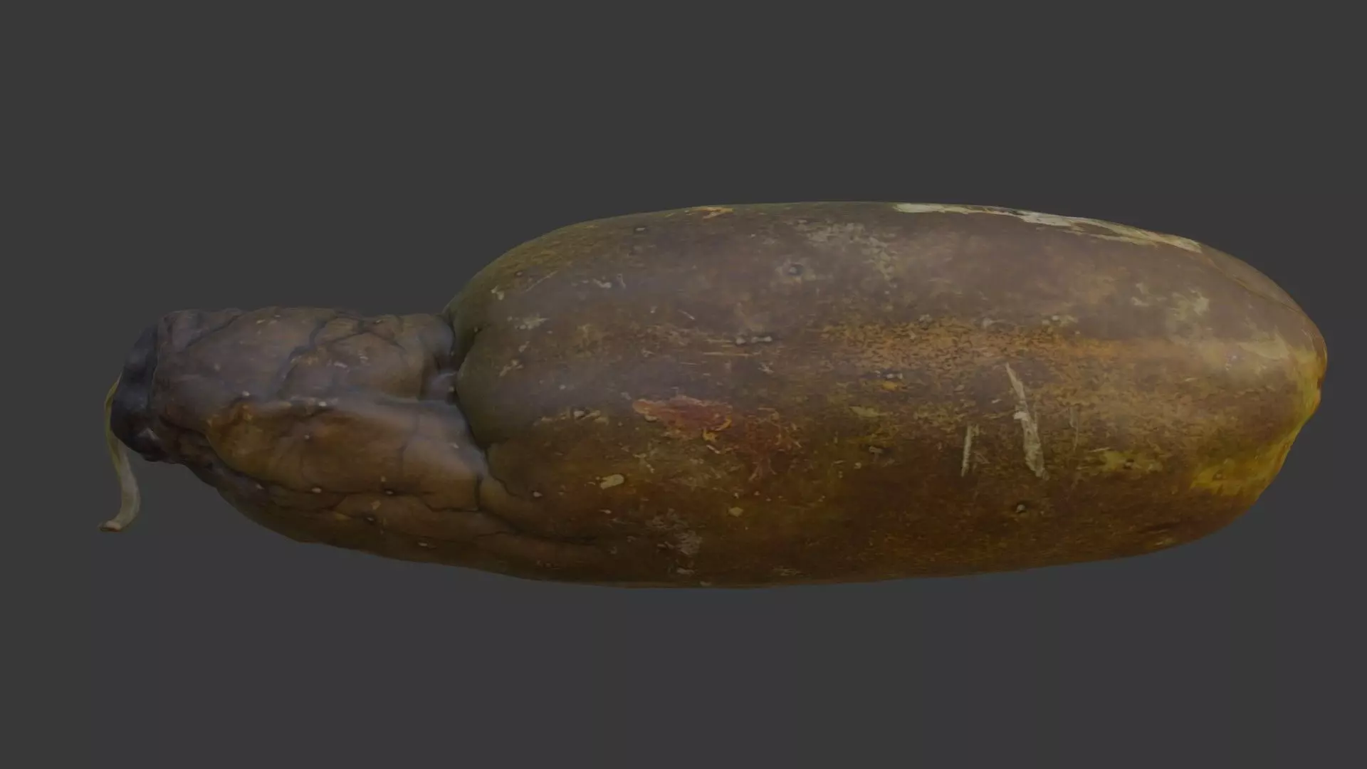 Spoiled Papaya Scan Low-poly 3D model_1