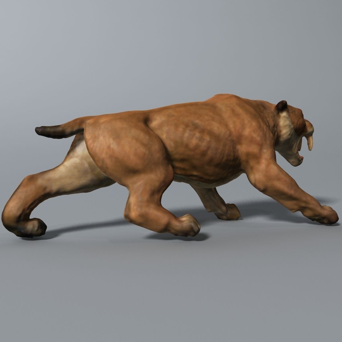 Titanis Walleri - Terror Bird RIGGED and ANIMATED vs Smilodon Low-poly 3D model_7