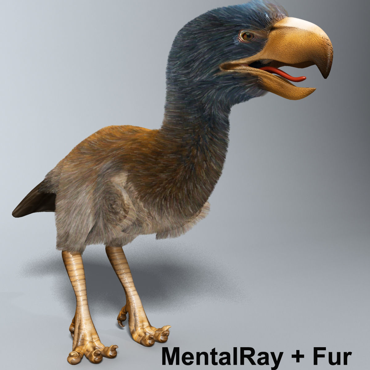 Titanis Walleri - Terror Bird RIGGED and ANIMATED vs Smilodon Low-poly 3D model_3