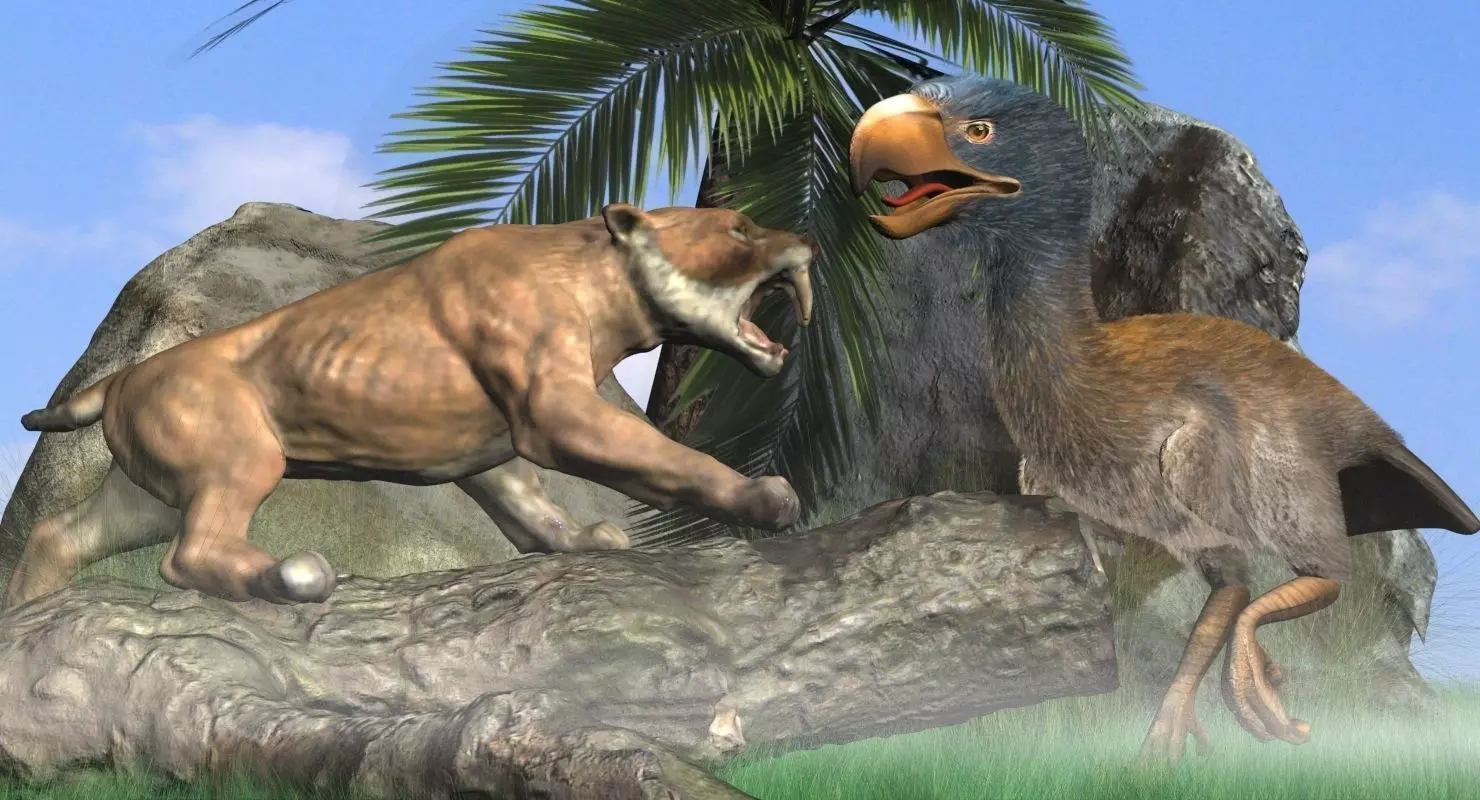 Titanis Walleri - Terror Bird RIGGED and ANIMATED vs Smilodon Low-poly 3D model_0