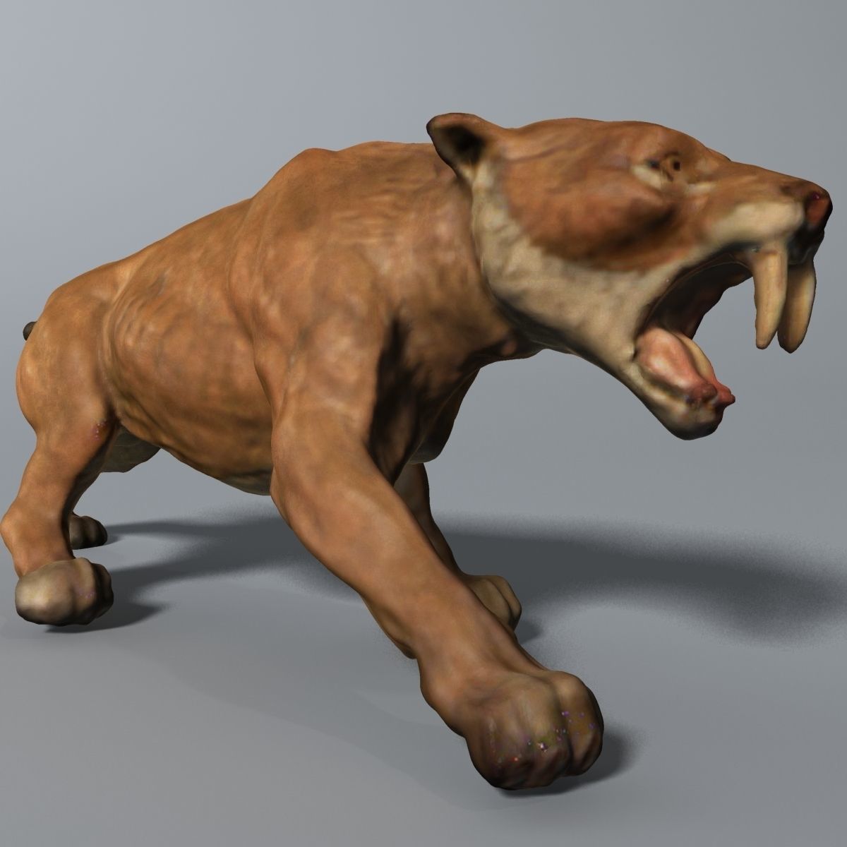 Titanis Walleri - Terror Bird RIGGED and ANIMATED vs Smilodon Low-poly 3D model_6