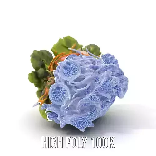Fresh Salad Bowl Model Pack with Vegetables and Greens Low-poly 3D model 4