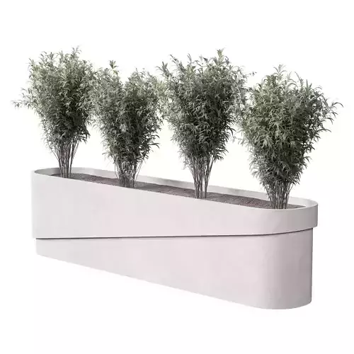 Plants Box Collection