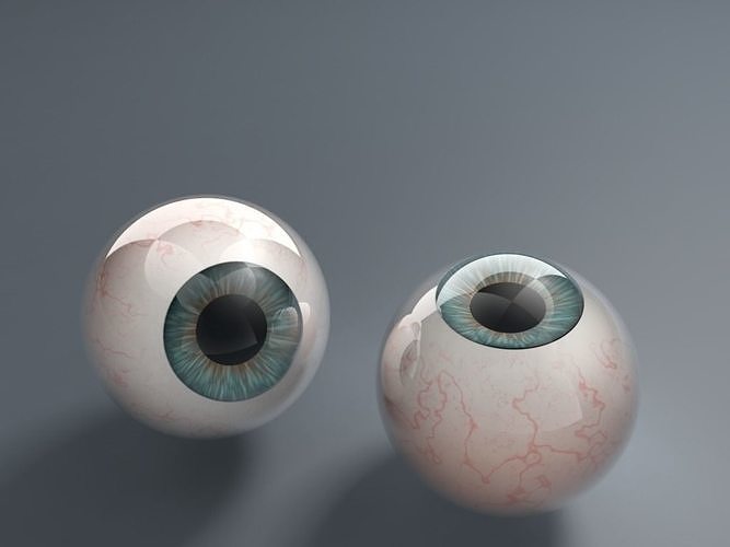 Eyeballs two 3D model