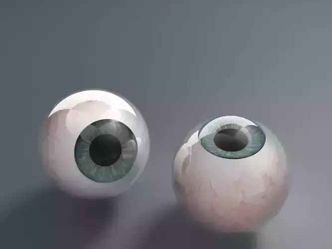 Eyeballs two 3D model