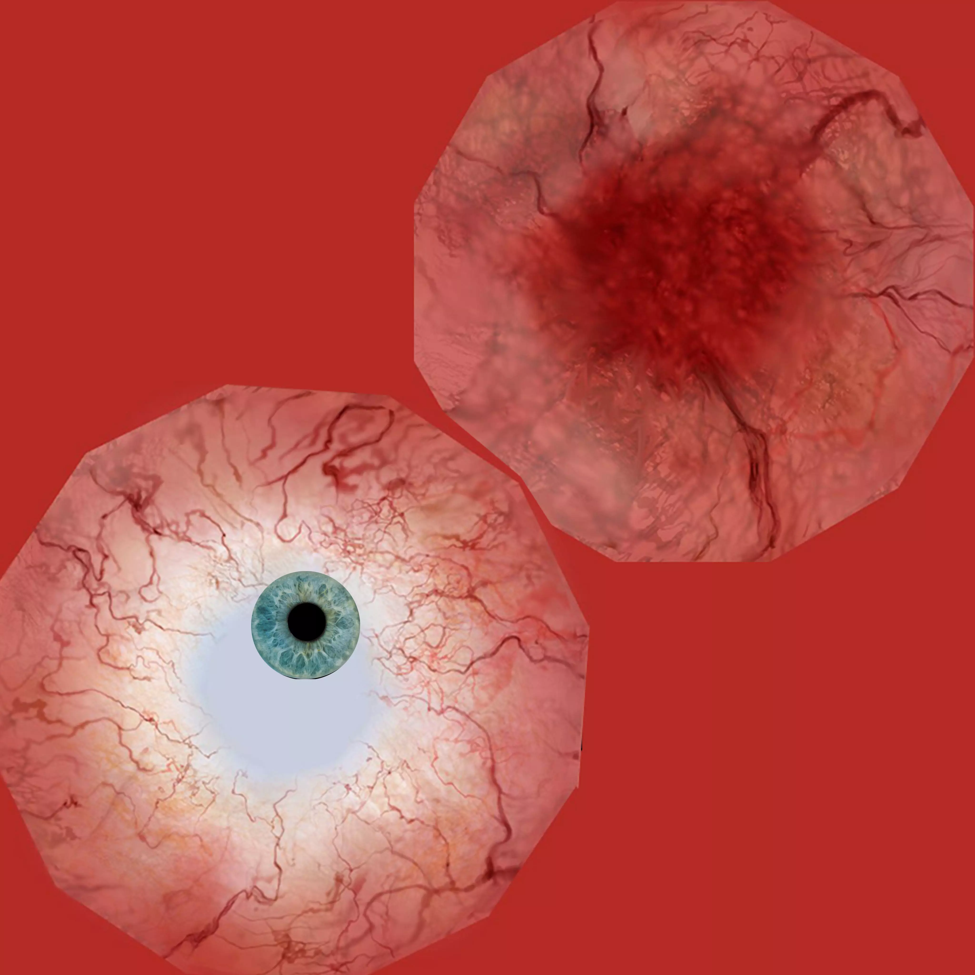 Centipede 3d Character Low-poly 3D model_20