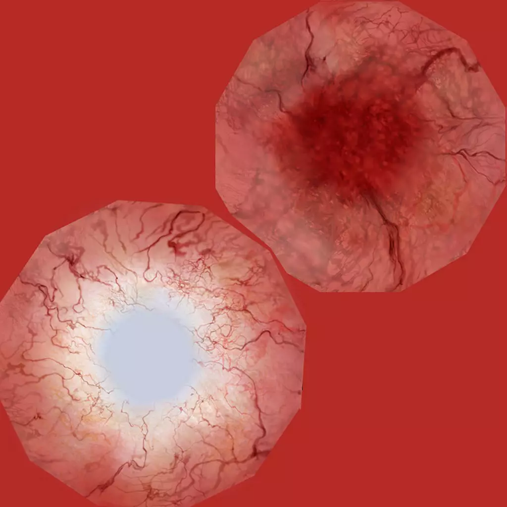 Centipede 3d Character Low-poly 3D model_25