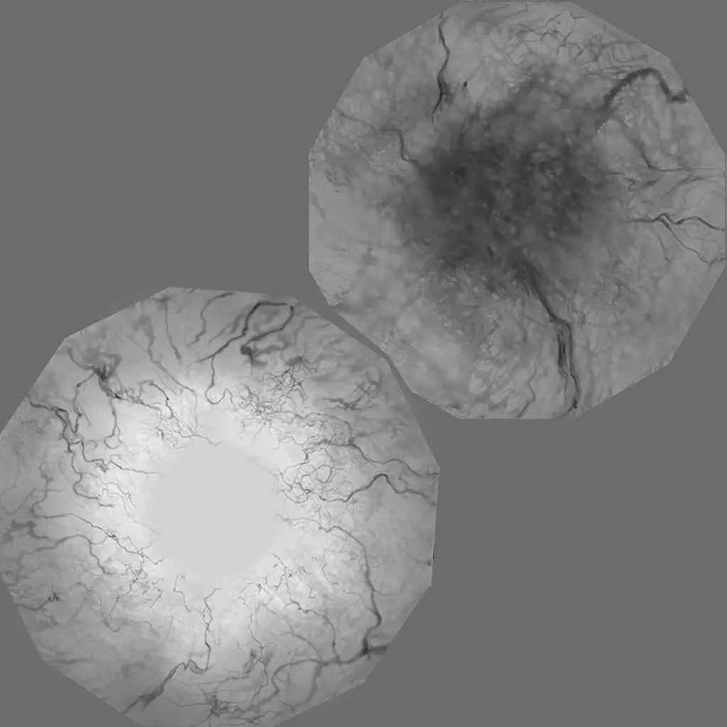 Centipede 3d Character Low-poly 3D model_24