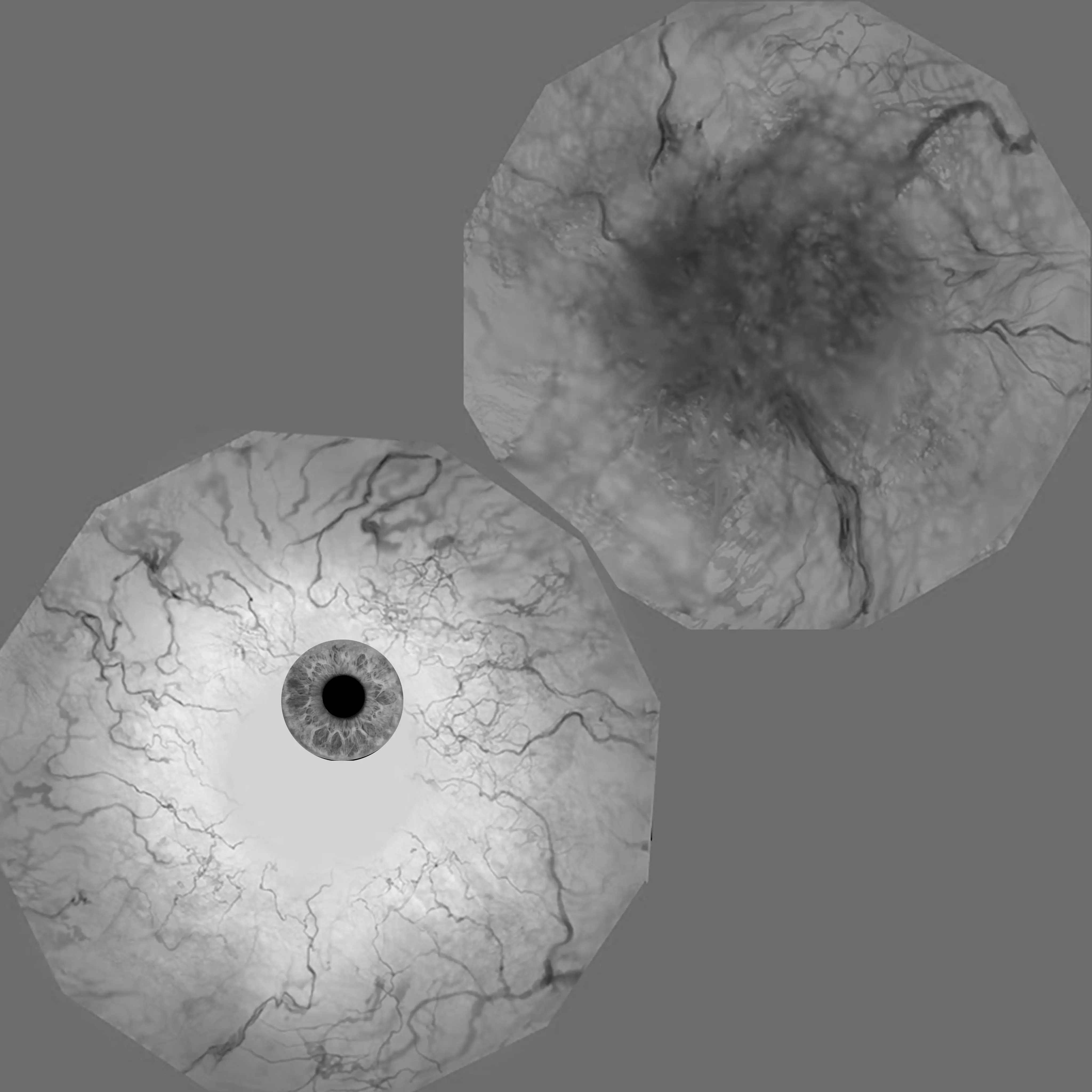 Centipede 3d Character Low-poly 3D model_19