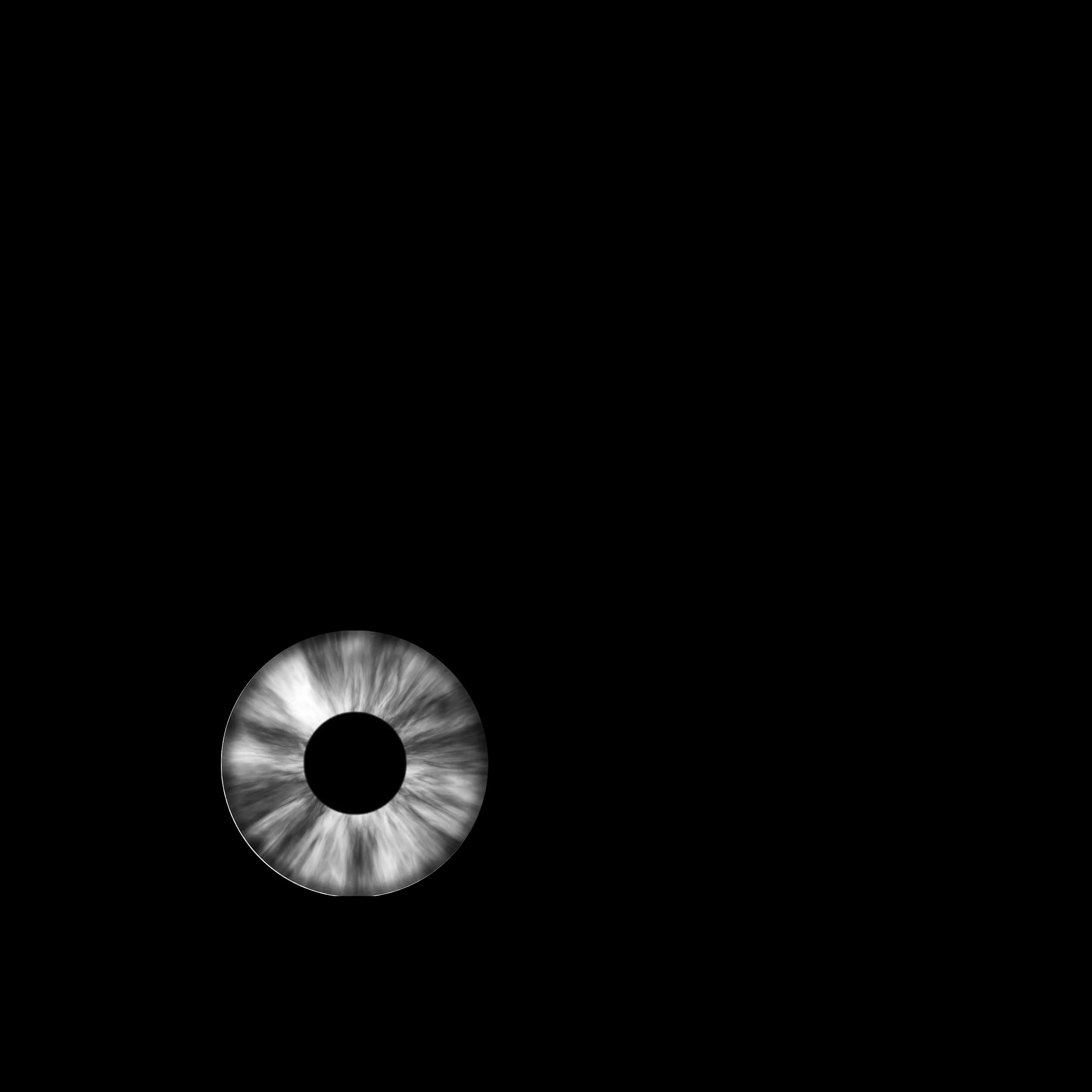 Centipede 3d Character Low-poly 3D model_22