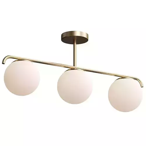  Grant ceiling light