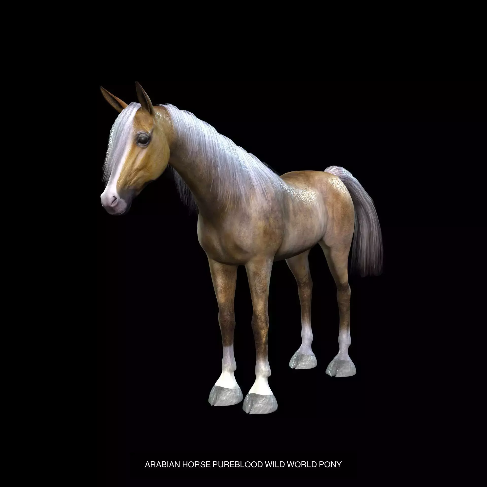 DOWNLOAD Thoroughbred horse ARABIAN 3D MODEL RIGGED - PRINTABLE 3D Model Collection_1