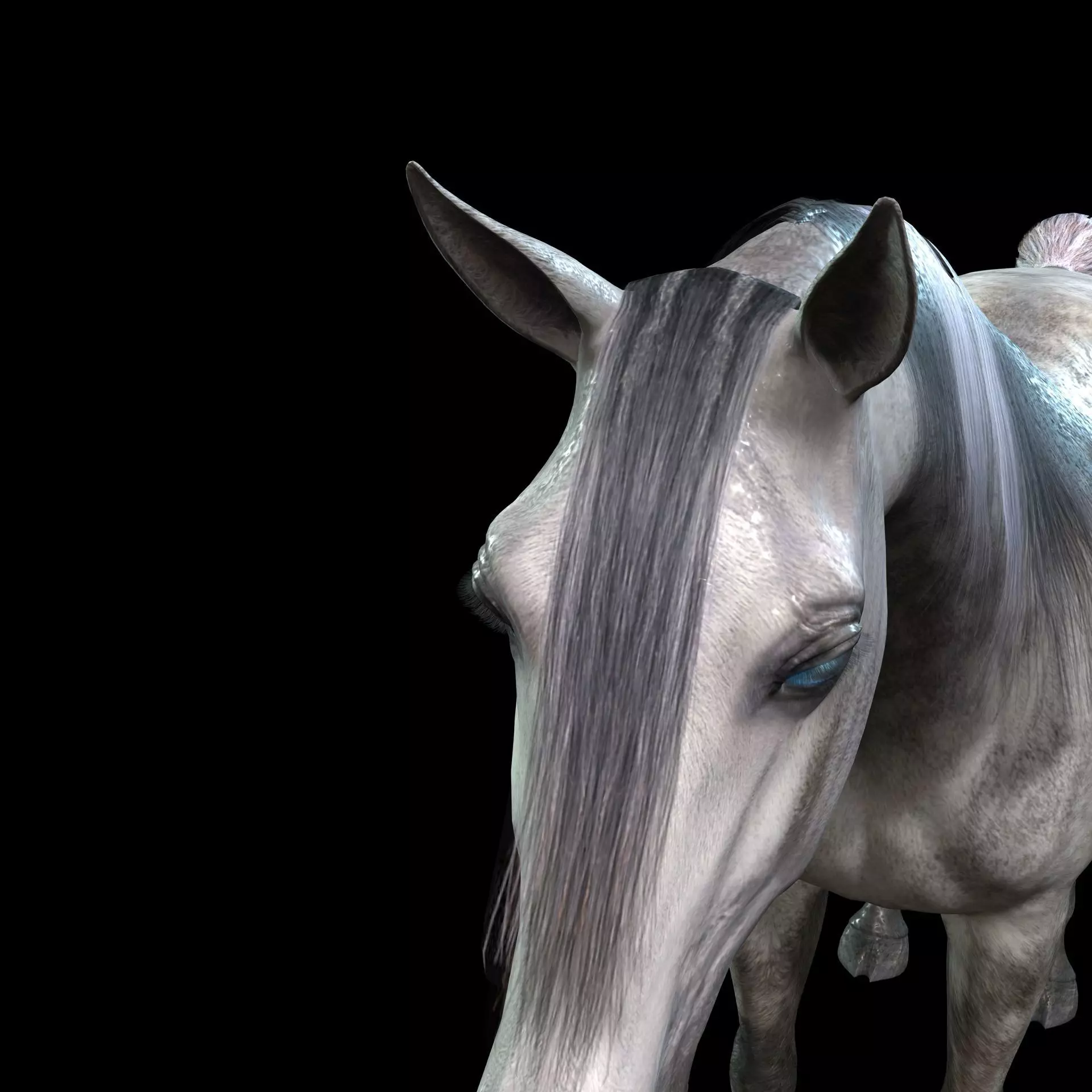 DOWNLOAD Thoroughbred horse ARABIAN 3D MODEL RIGGED - PRINTABLE 3D Model Collection_9