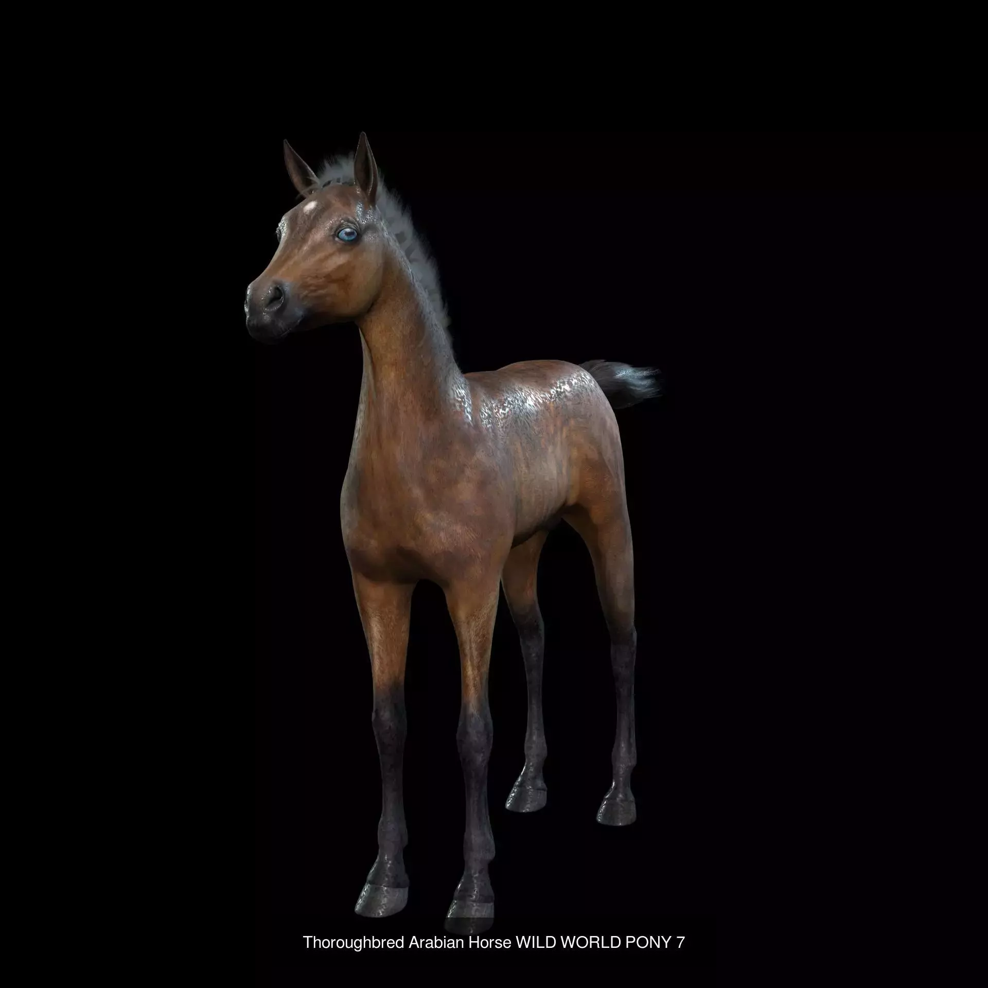 DOWNLOAD Thoroughbred horse ARABIAN 3D MODEL RIGGED - PRINTABLE 3D Model Collection_8