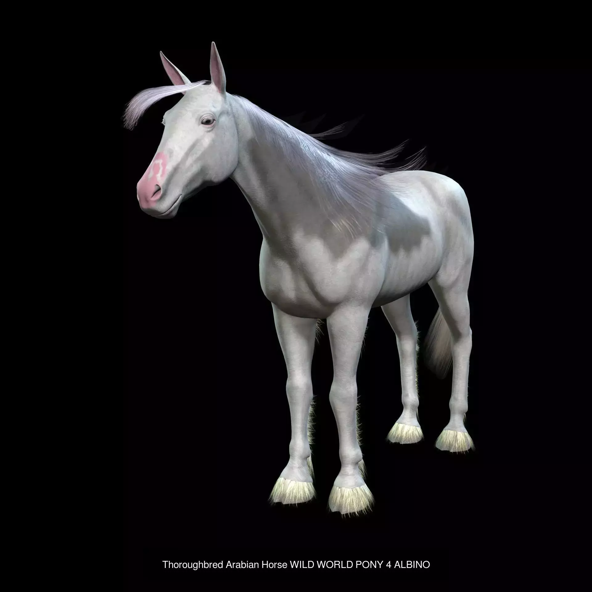 DOWNLOAD Thoroughbred horse ARABIAN 3D MODEL RIGGED - PRINTABLE 3D Model Collection_5