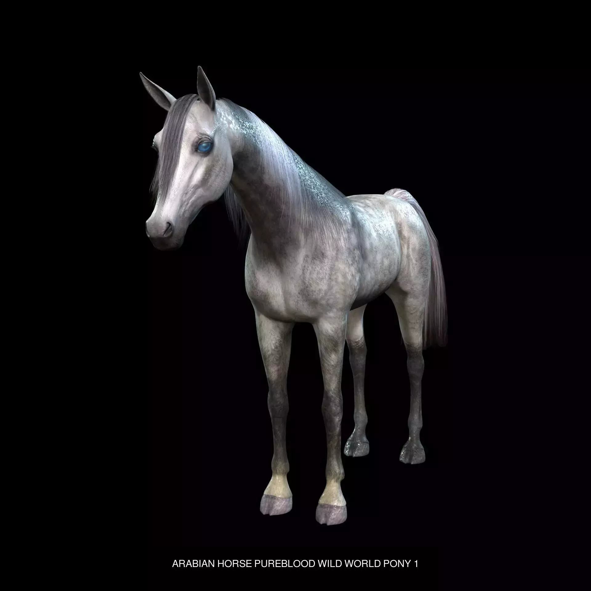 DOWNLOAD Thoroughbred horse ARABIAN 3D MODEL RIGGED - PRINTABLE 3D Model Collection_2
