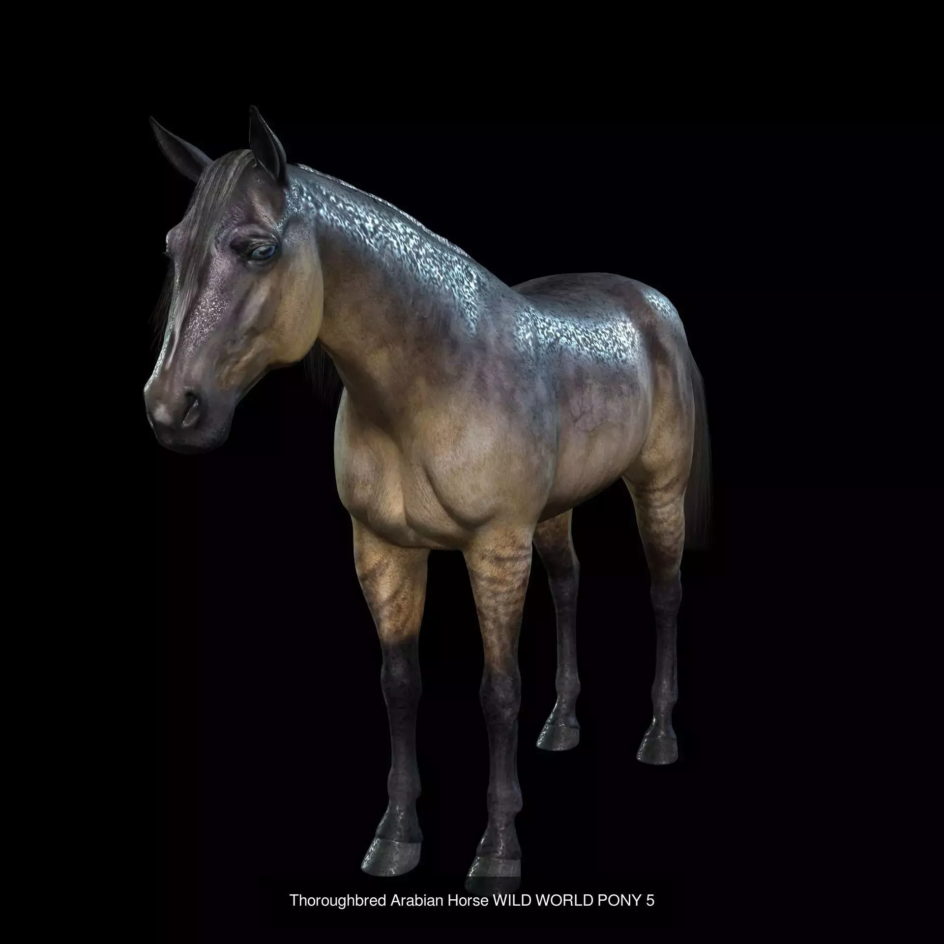 DOWNLOAD Thoroughbred horse ARABIAN 3D MODEL RIGGED - PRINTABLE 3D Model Collection_6