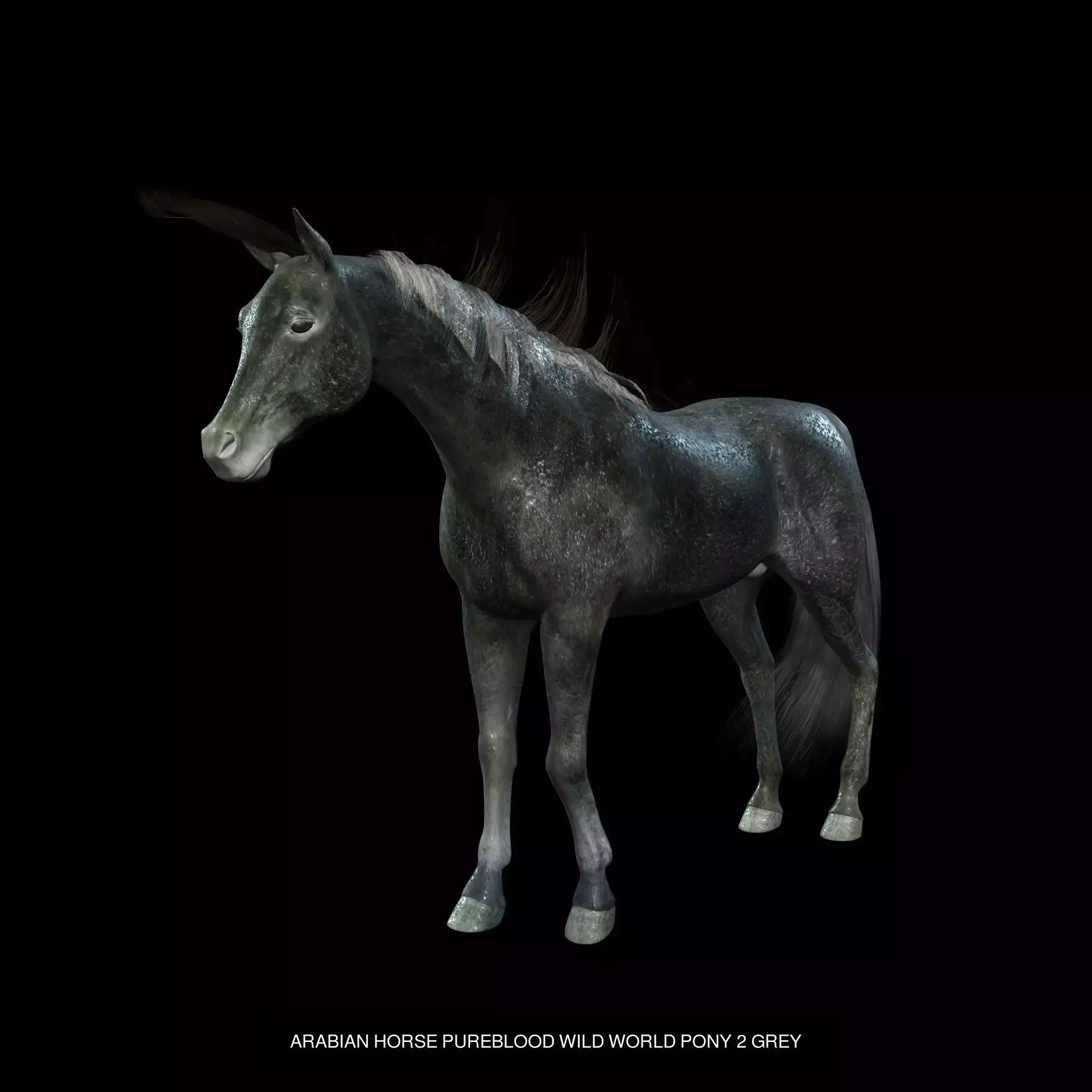 DOWNLOAD Thoroughbred horse ARABIAN 3D MODEL RIGGED - PRINTABLE 3D Model Collection_3