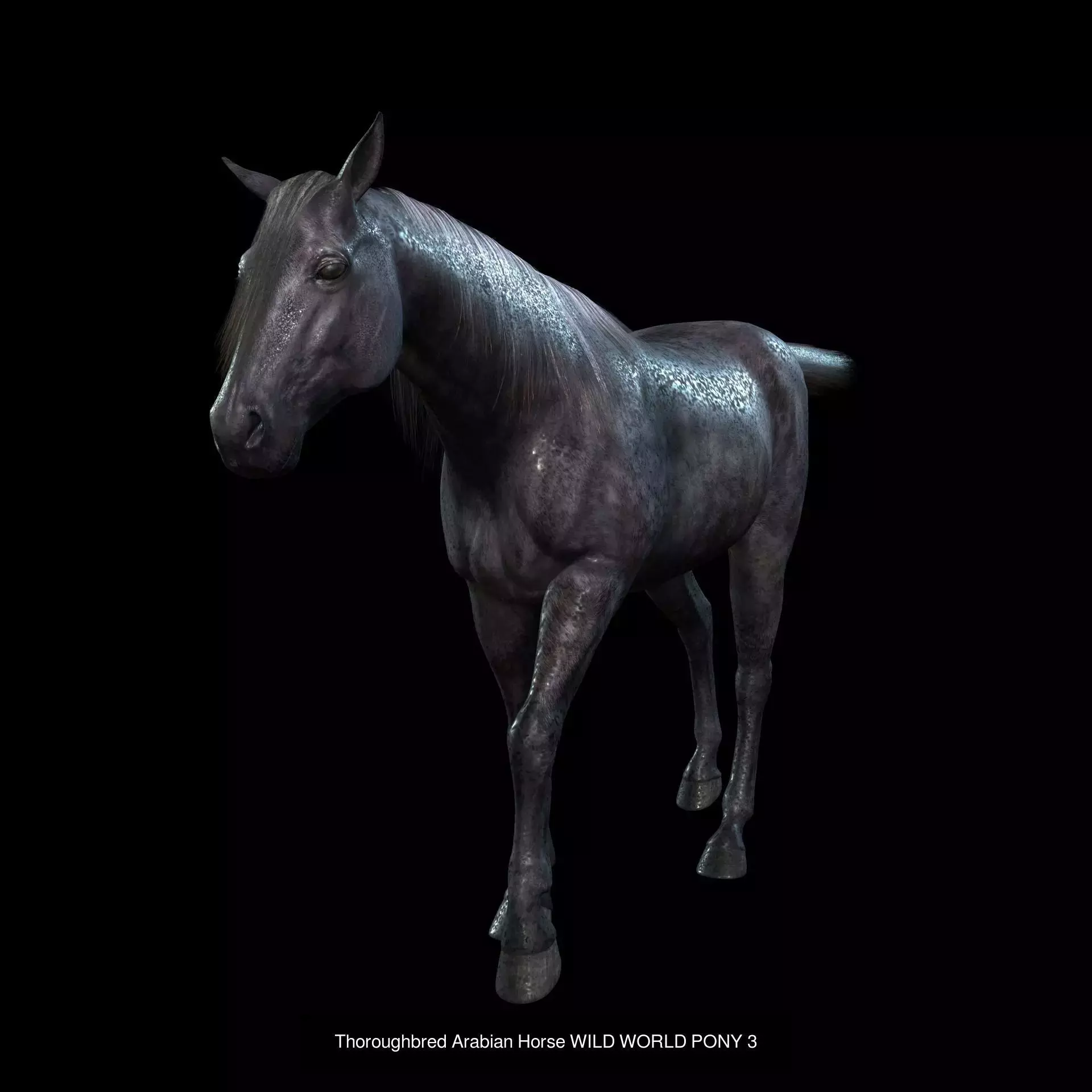 DOWNLOAD Thoroughbred horse ARABIAN 3D MODEL RIGGED - PRINTABLE 3D Model Collection_4