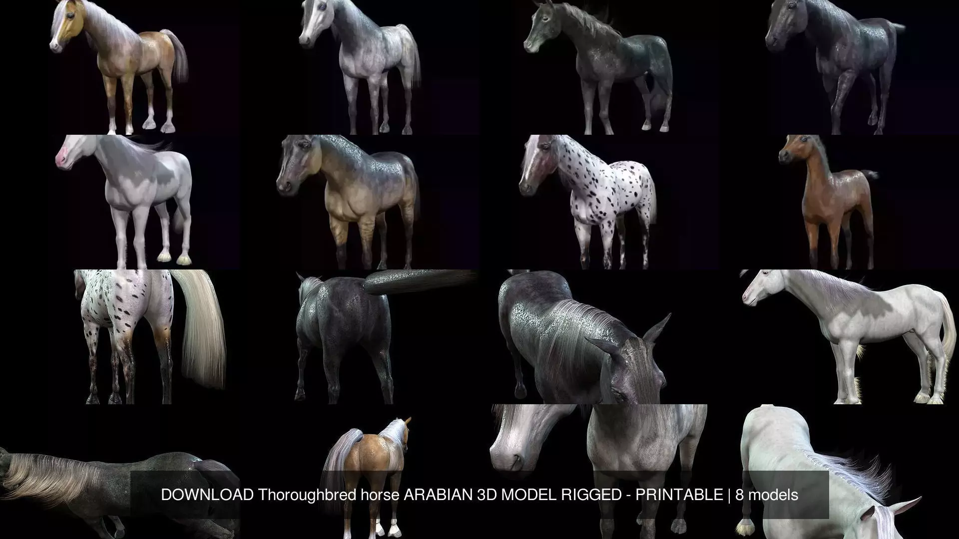 DOWNLOAD Thoroughbred horse ARABIAN 3D MODEL RIGGED - PRINTABLE 3D Model Collection_0
