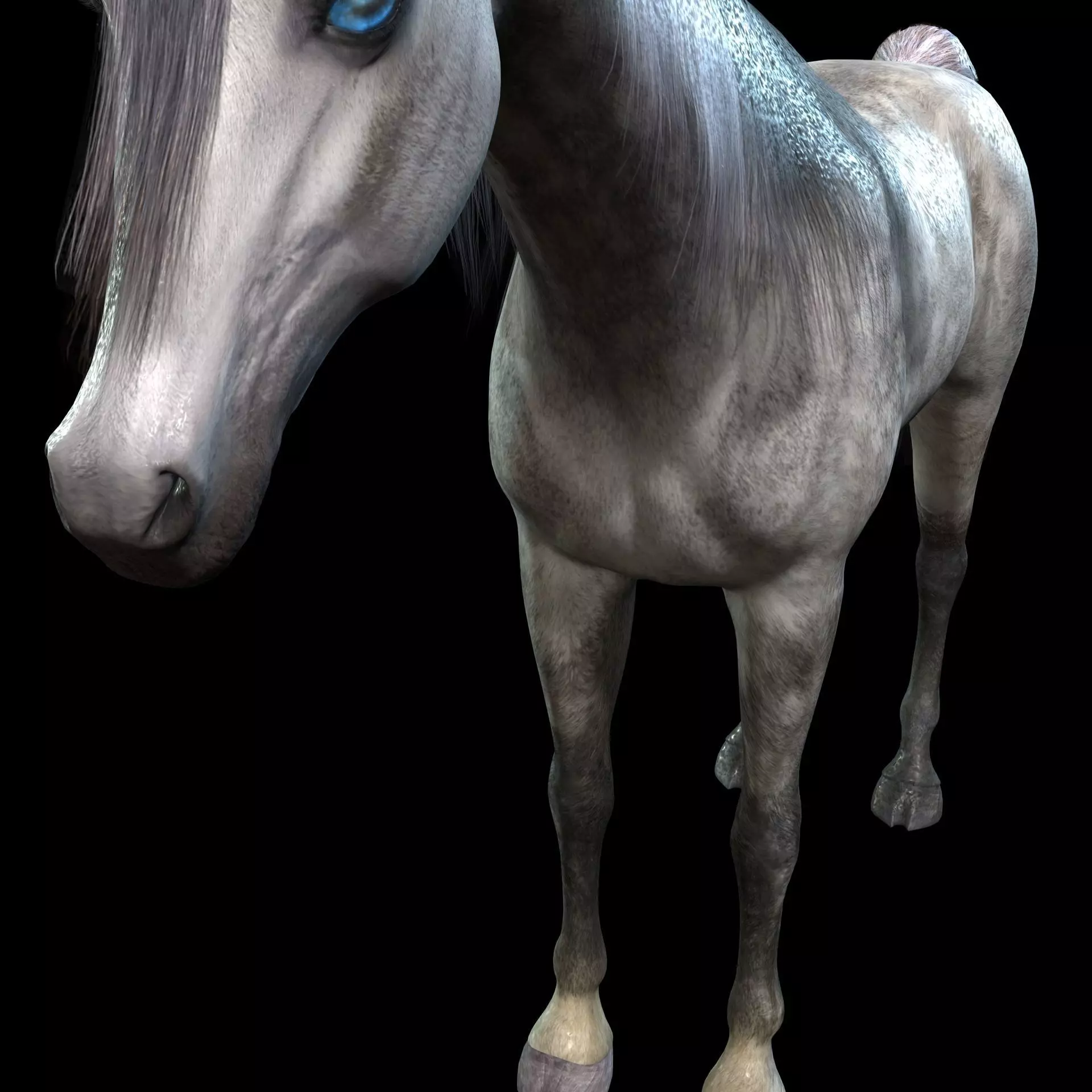 DOWNLOAD Thoroughbred horse ARABIAN 3D MODEL RIGGED - PRINTABLE 3D Model Collection_10