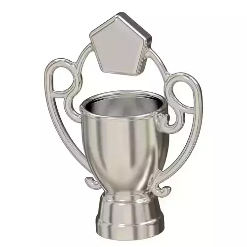 Kids Championship Trophy