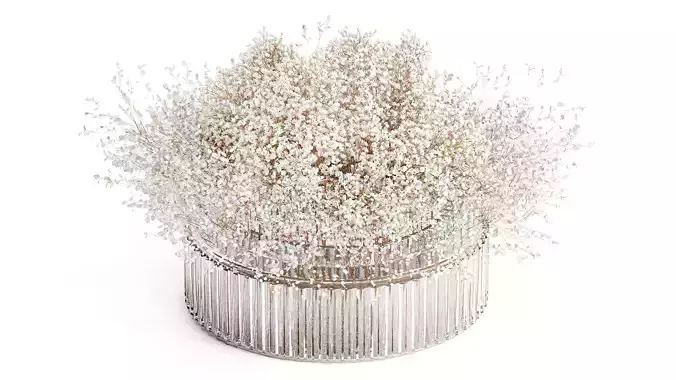  White branches flowers Gypsophila lunnik glass vase 606